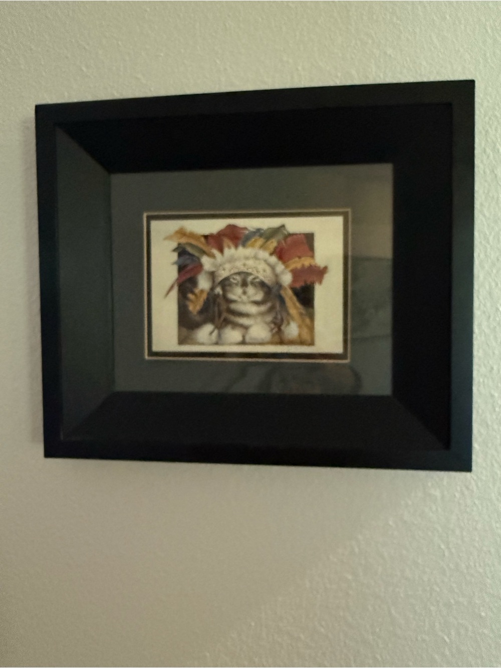 “Chief Cat”